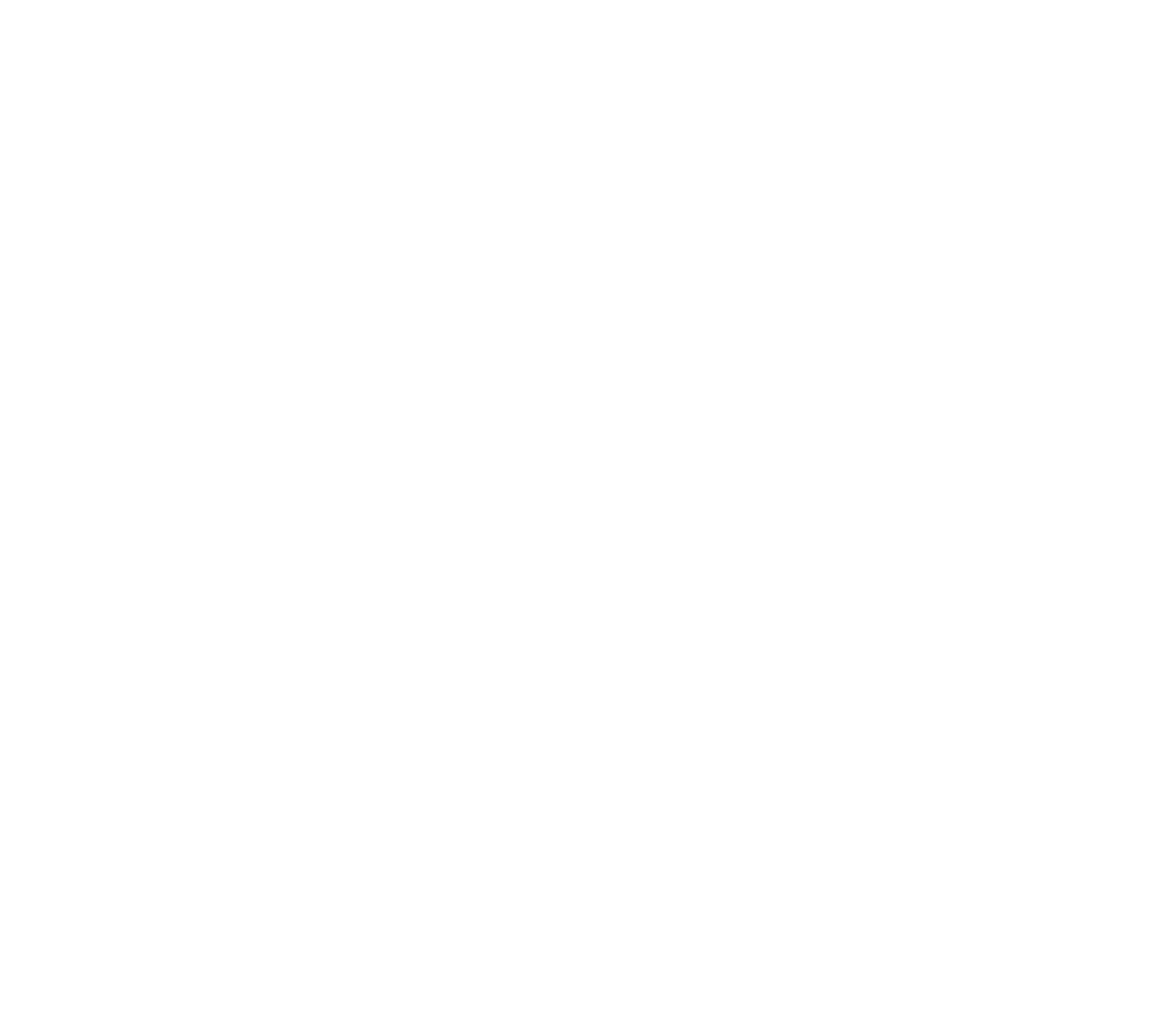 Bonnier Skorstensservice